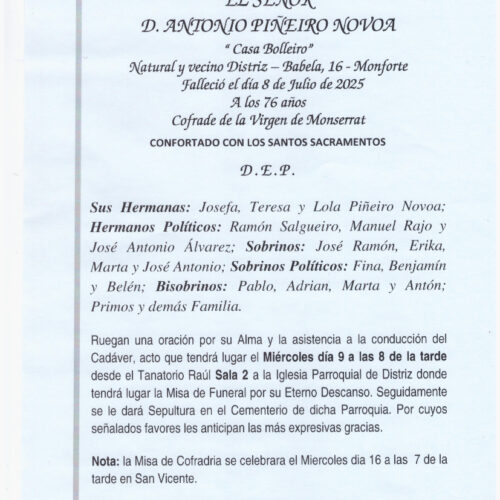 EL SEÑOR DON ANTONIO PIÑERIRO NOVOA