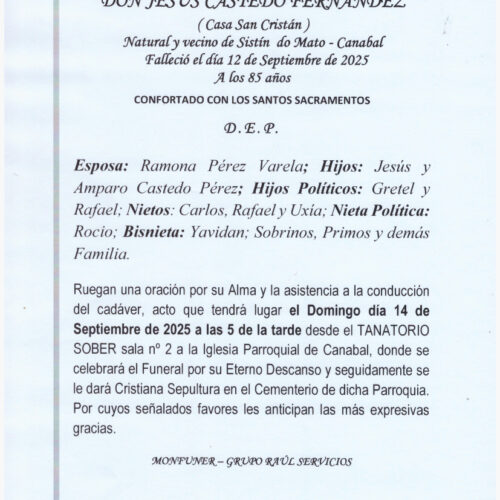 EL SEÑOR DON JESÚS CASTEDO FERNÁNDEZ