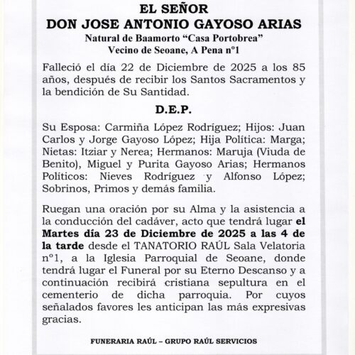EL SEÑOR DON JOSE ANTONIO GAYOSO ARIAS