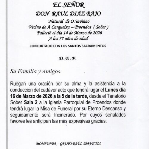 EL SEÑOR DON RAUL DIAZ RAJO